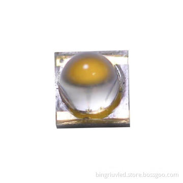 Customized 3535 SMD Lamp Beads